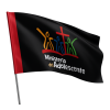 BANDERA DE MINISTERIO ADOLESCENTE